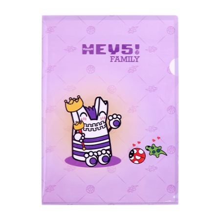 HEY5! Family A4 Plastic Folder 10 Pcs. - Chief Ziby
